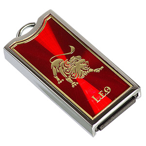 USB k��� 4GB znamenie zverokruhu Lev - Leo