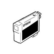 EPSON T642 Cleaning Cartridge