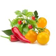 zmes ovocia a zeleniny, kapsule so semienkami a substrátom 9ks, Click and Grow